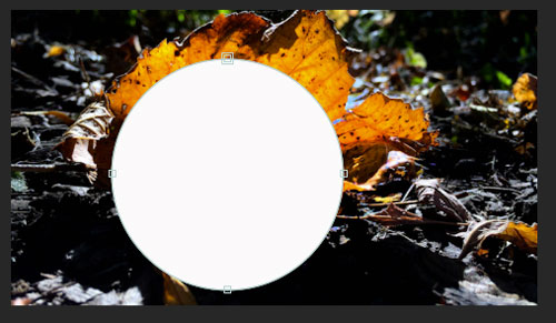 Masks and matte track in Adobe AfterEffects