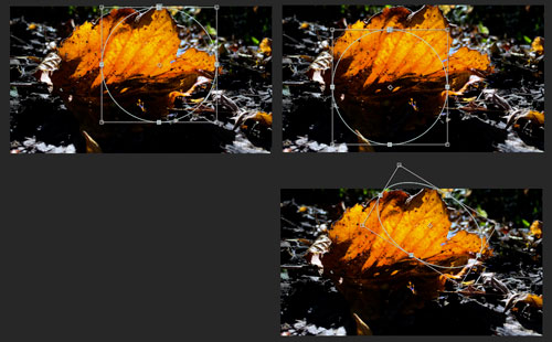Masks and matte track in Adobe AfterEffects