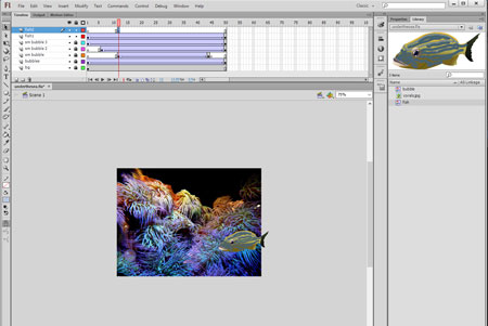 new layer