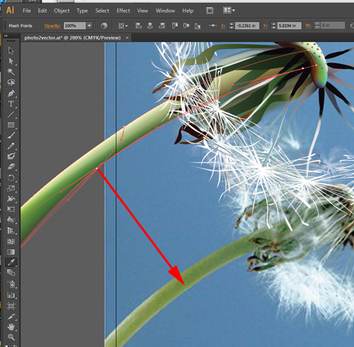 vector graphics