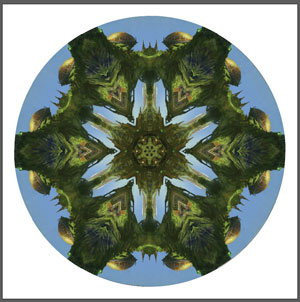 Adobe Illustrator mandala