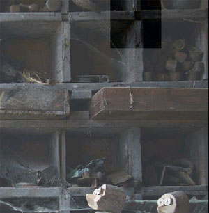 selection