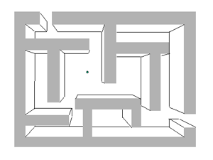 maze in perspective