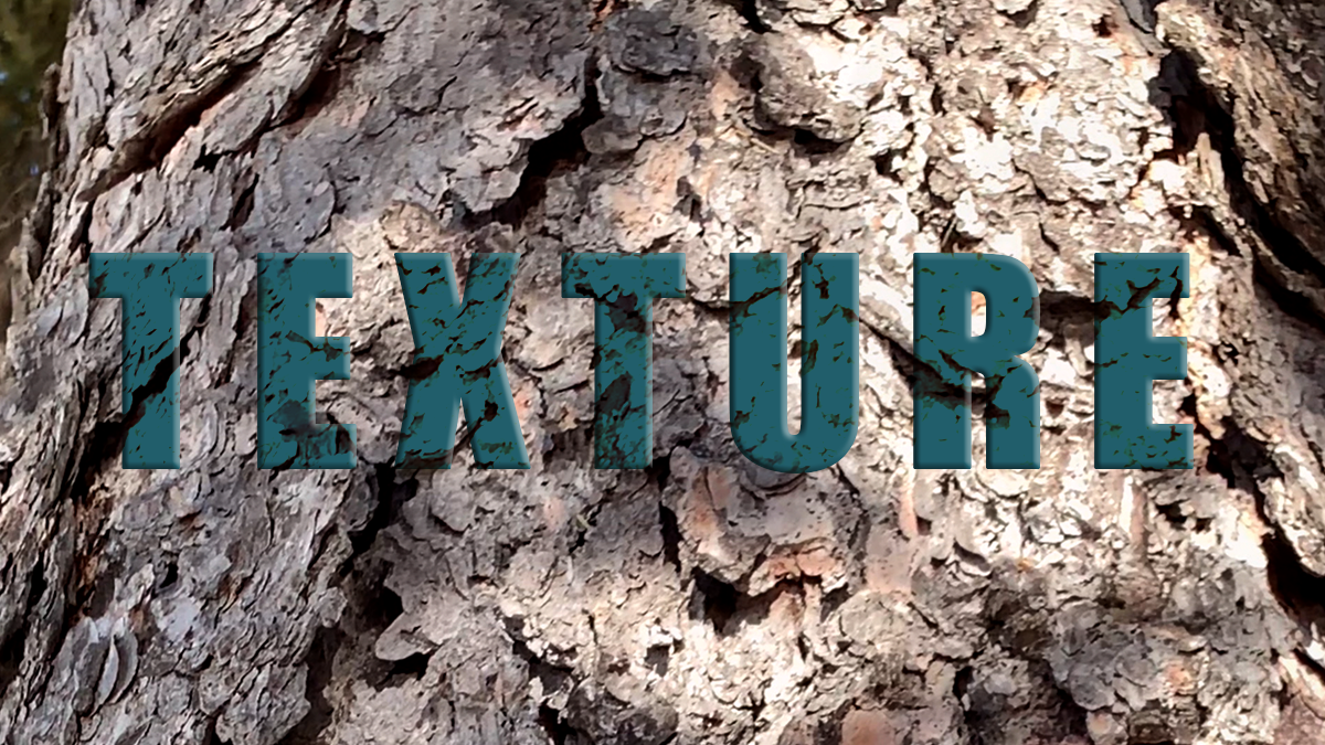 texture as an element of art