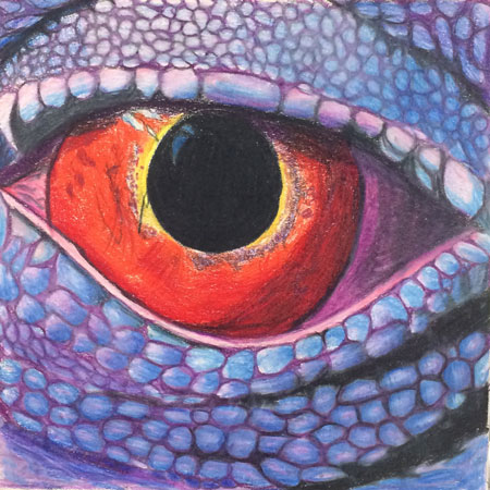 Eye drawing . Colored pencils. Art lesson.