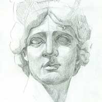 facial proportions