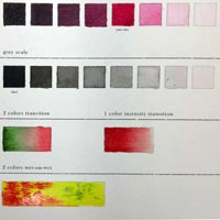 watercolor basics
