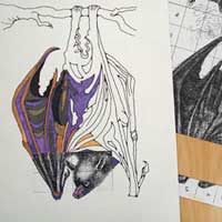 complete the drawing