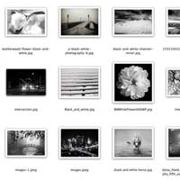 contact sheet in Photoshop