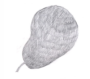 pencil shading