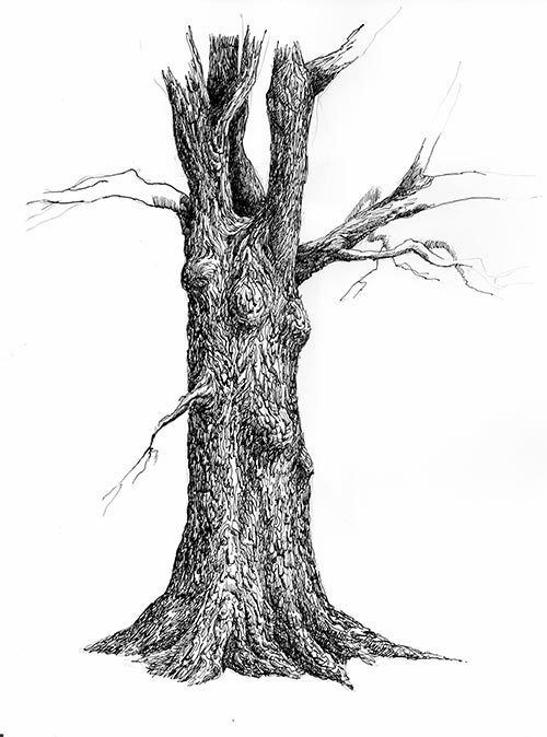 pen and ink