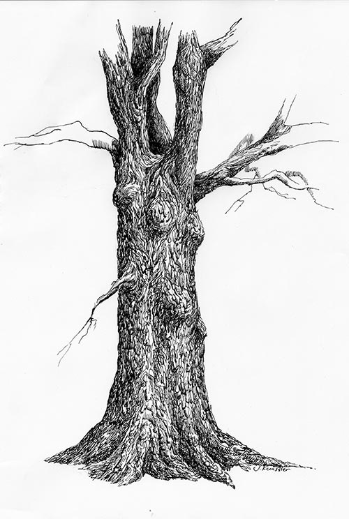 tree drawing