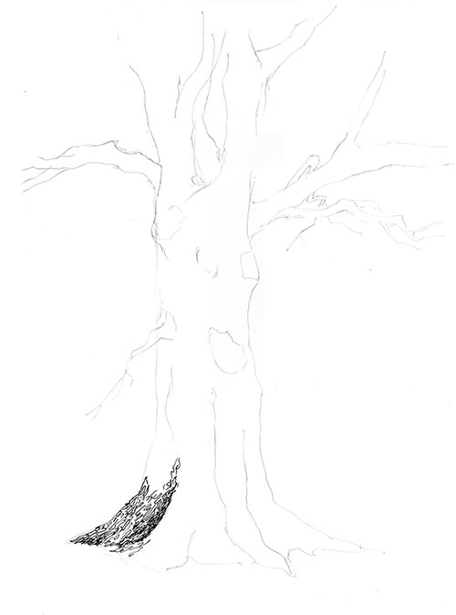 tree texture