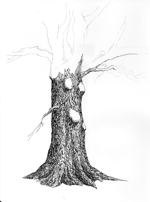 pen and ink values